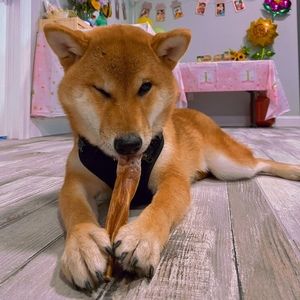 Meet your Posher, Zhen